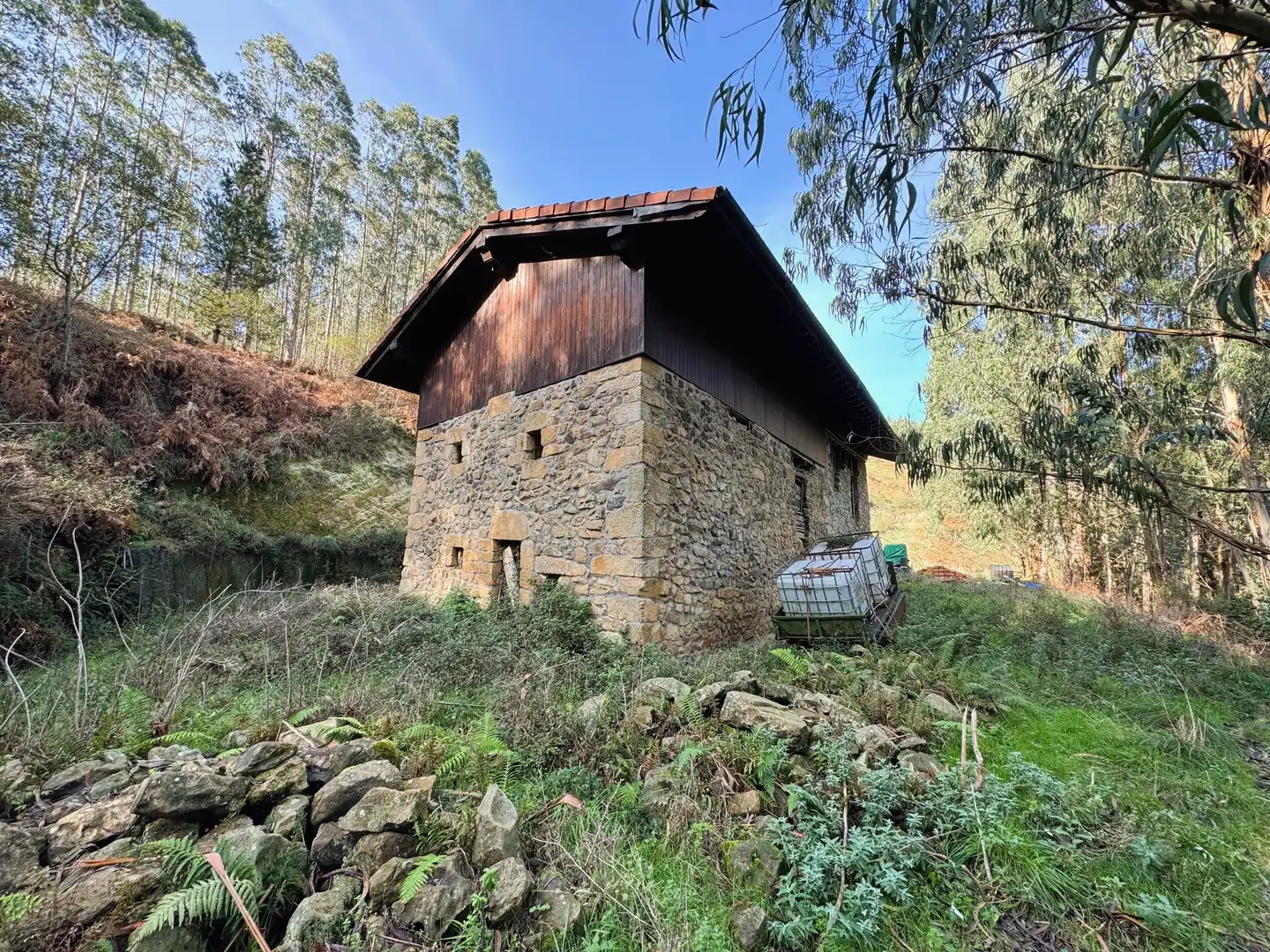 Vista exterior de Finca rústica en venta en Muxika