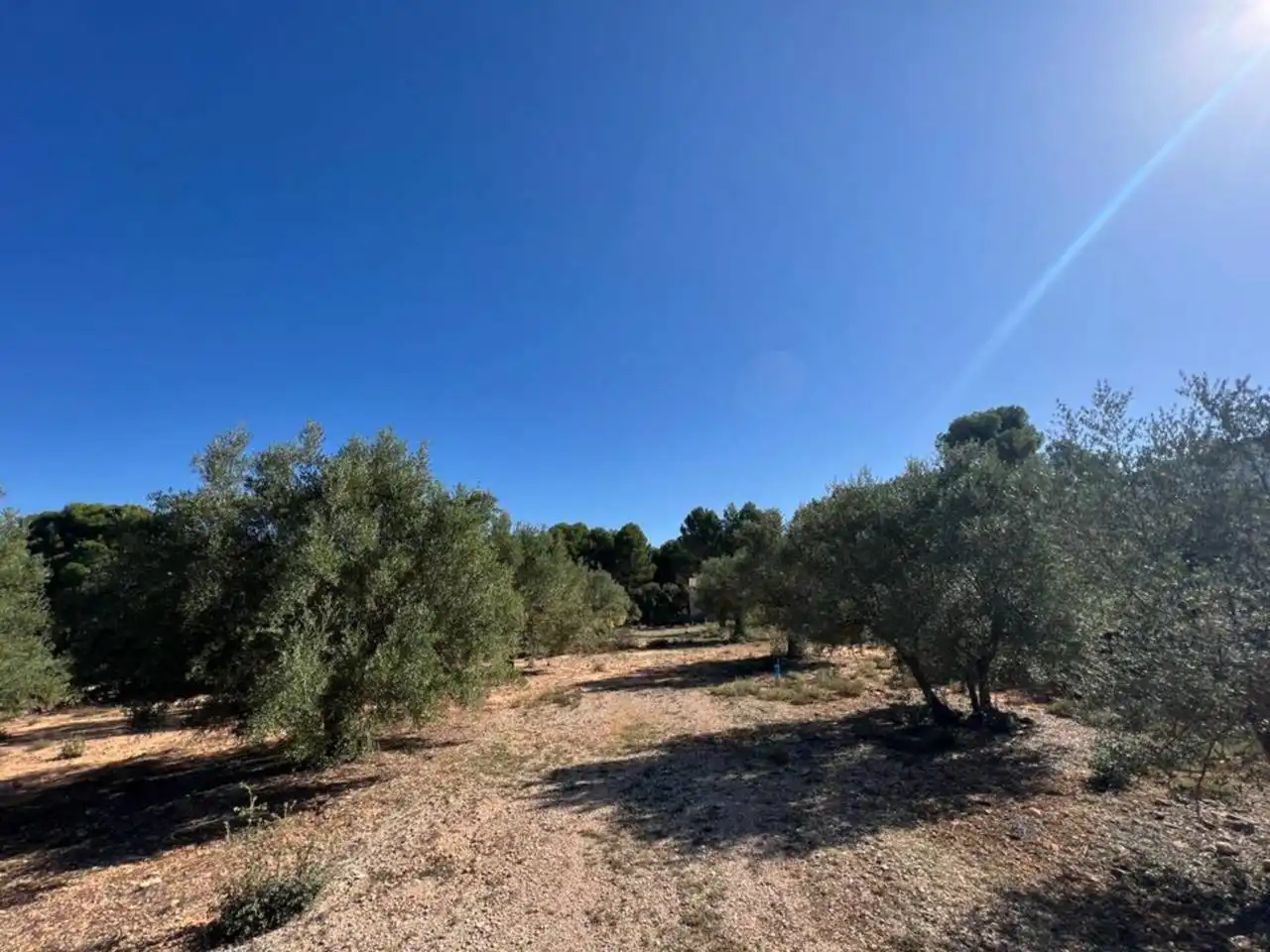 Chalet en venta en Banyeres de Mariola, imagen 15