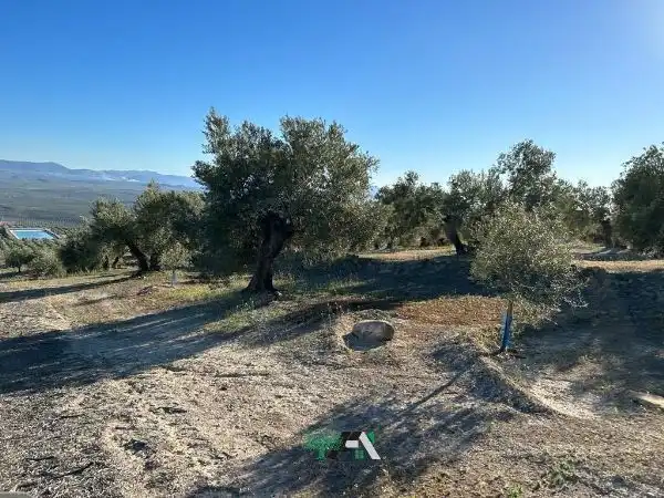 Terreni e lotti in vendita a Begíjar, imagen 3