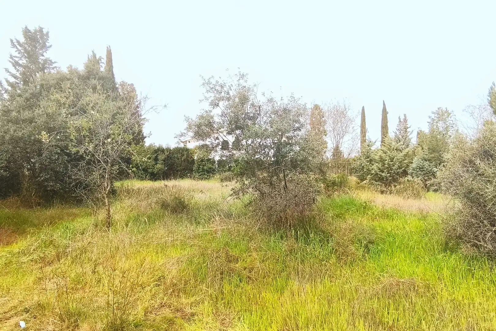 Terreno residencial en venta en Parque del Cubillas, imagen 5