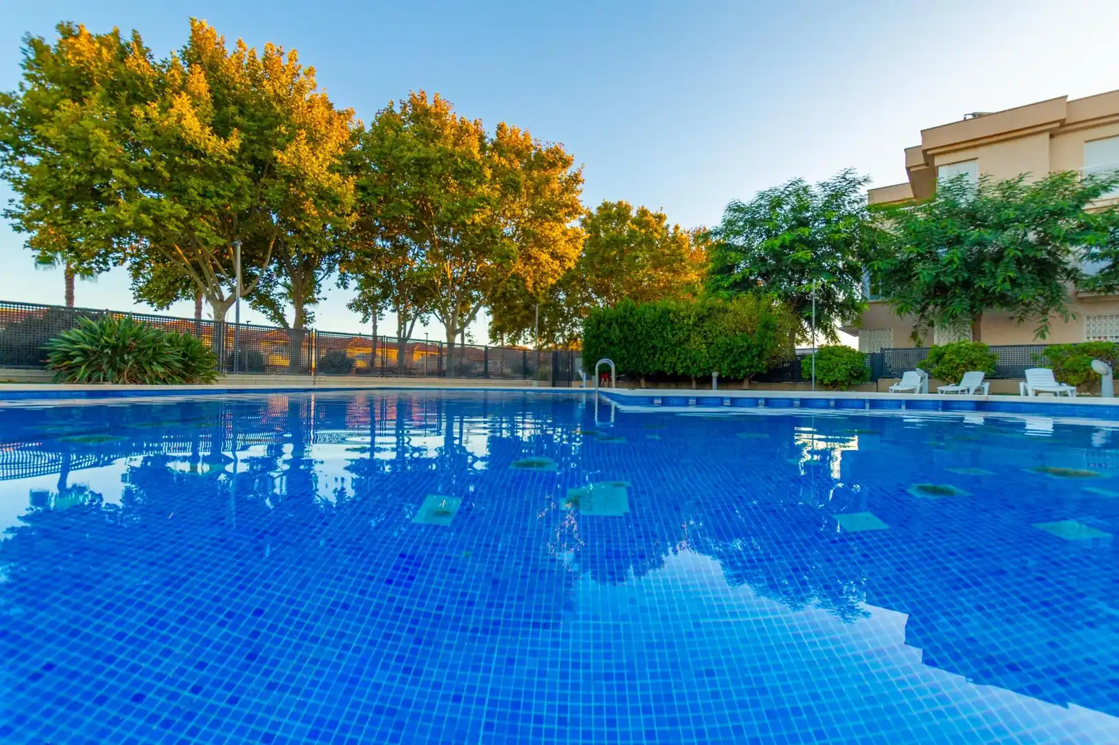 Baixos amb piscina en venda a ALCER MURCIA, imagen 22