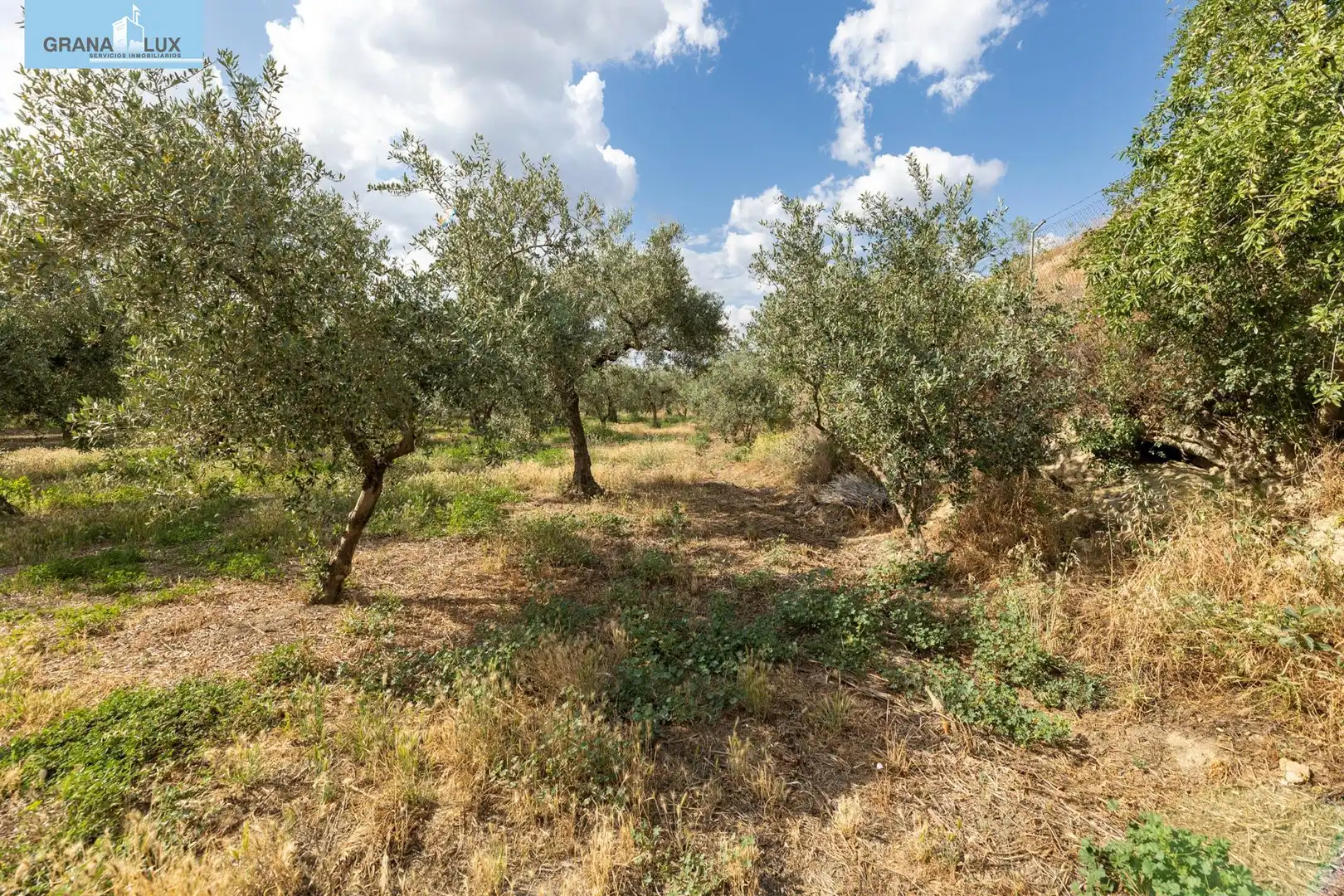 Terreno rustico in vendita a Calle POL 1, PARC 176, imagen 20