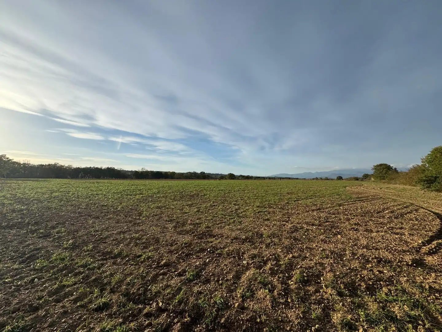 Rural land for sale in Garriguella, imagen 5