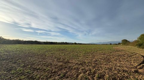 Foto 5 de Terreno en venta en Garriguella, Garriguella, Girona