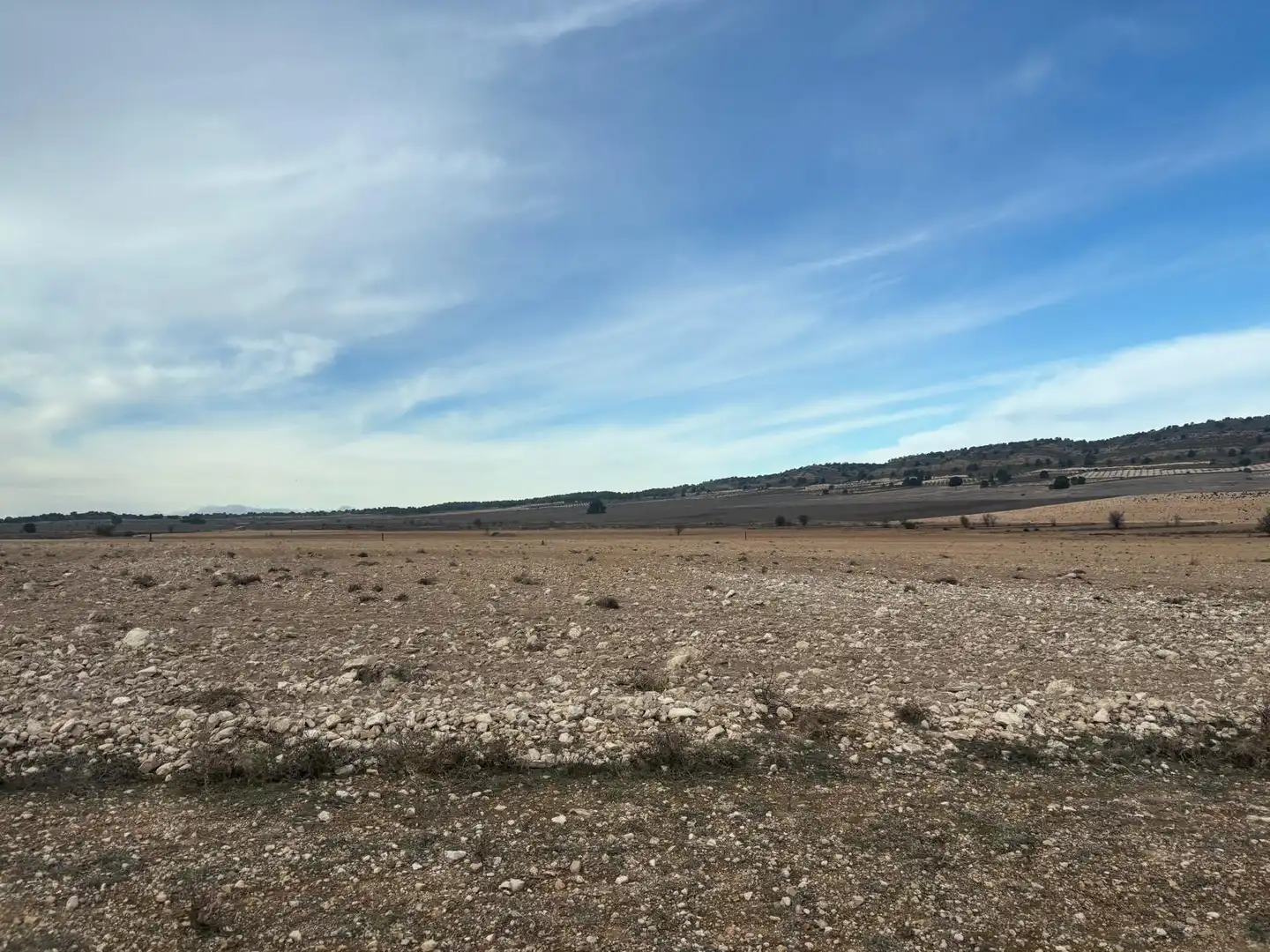 Finca rústica en venta en Ontur
