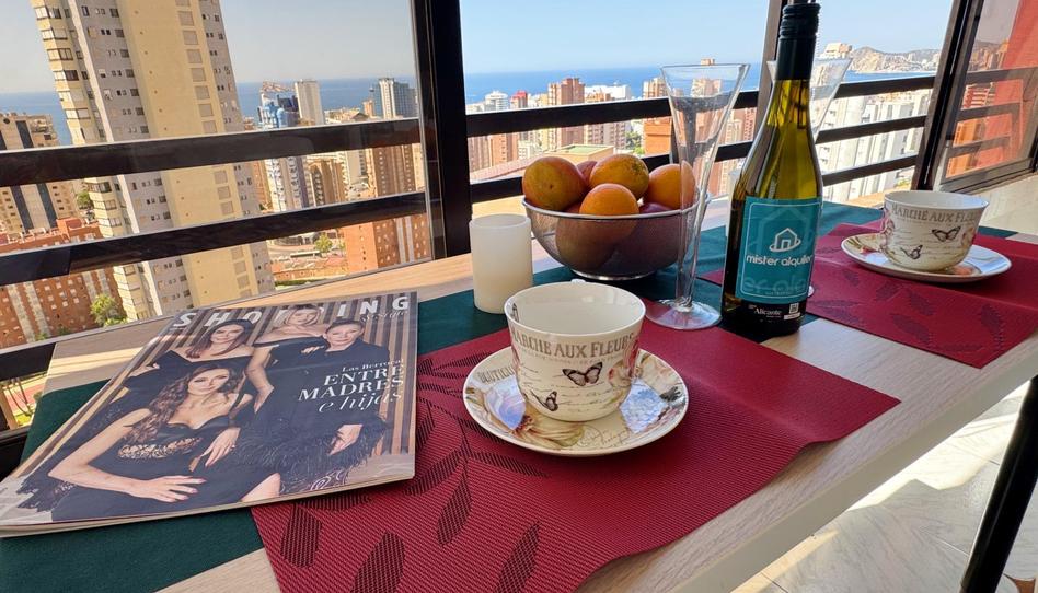 Foto 1 de Apartament de lloguer a Avenida Belgica, 5, Juzgados - Plaza de Toros, Alicante