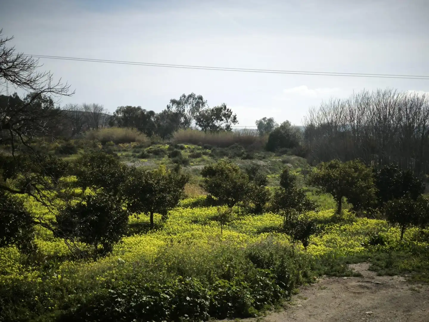 Lands and plots for sale in Gádor, imagen 8