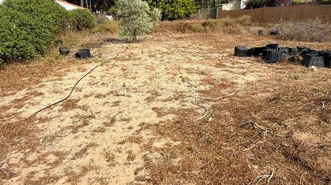 Foto 4 von Grundstücke zum Verkauf in Cuatro Pinos - El Carmen, El Puerto de Santa María