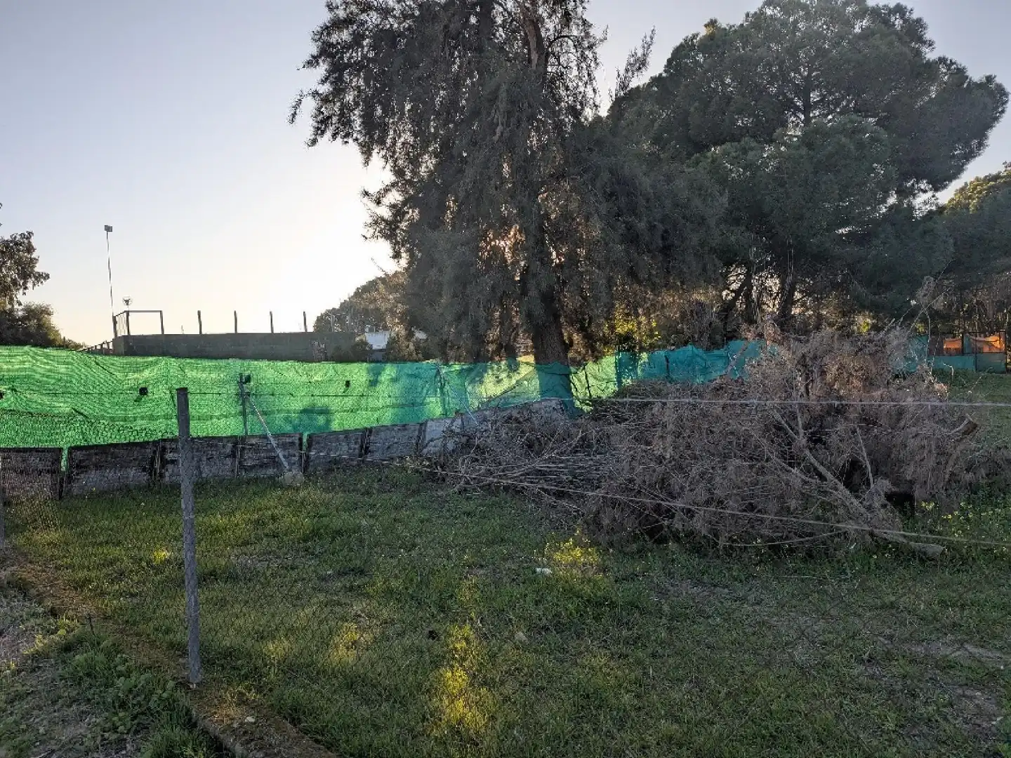 Casa o xalet en venda a Torre Cruz - Los Molinos