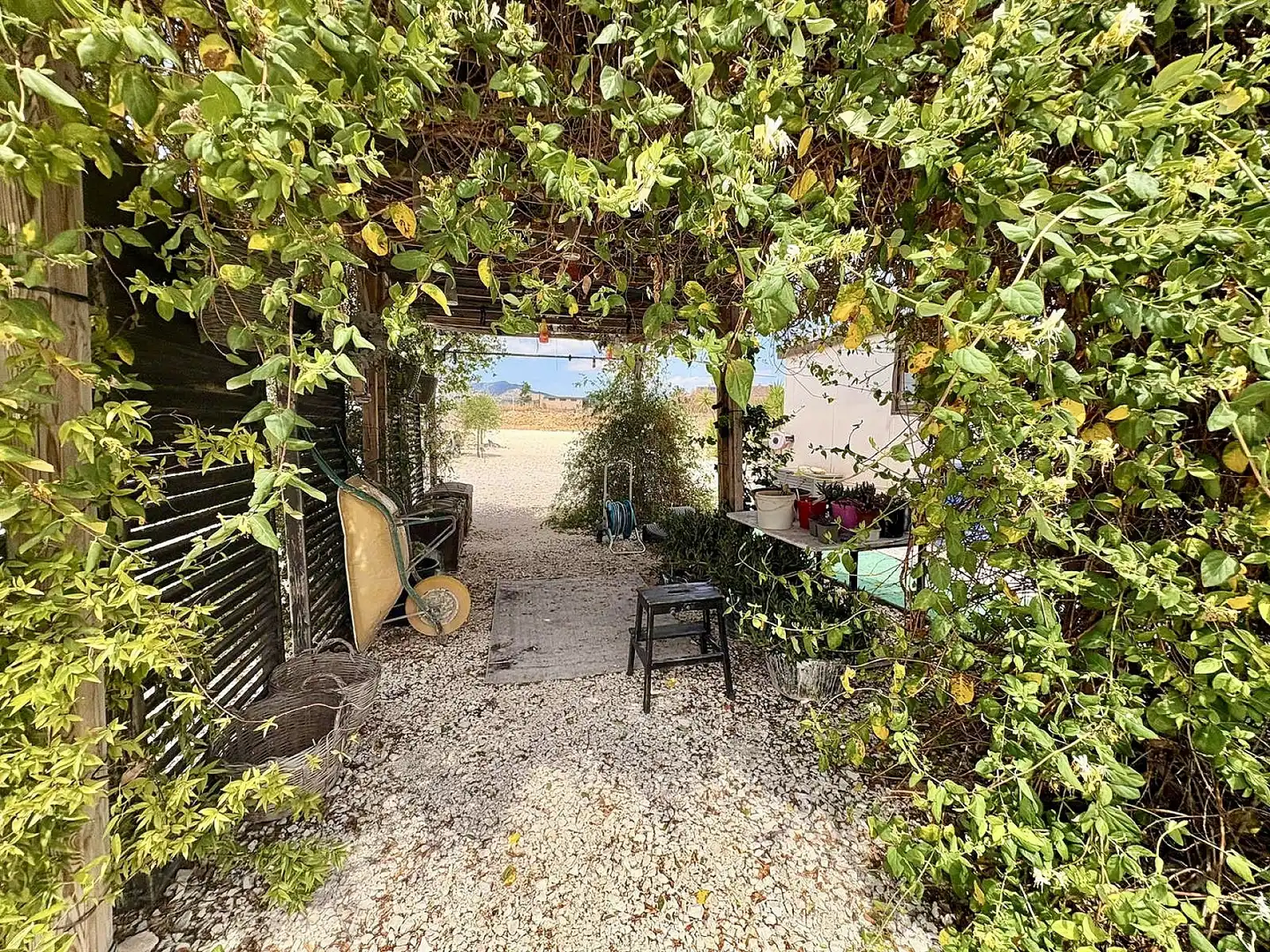 Chalet en venta en El Pinós / Pinoso, imagen 67