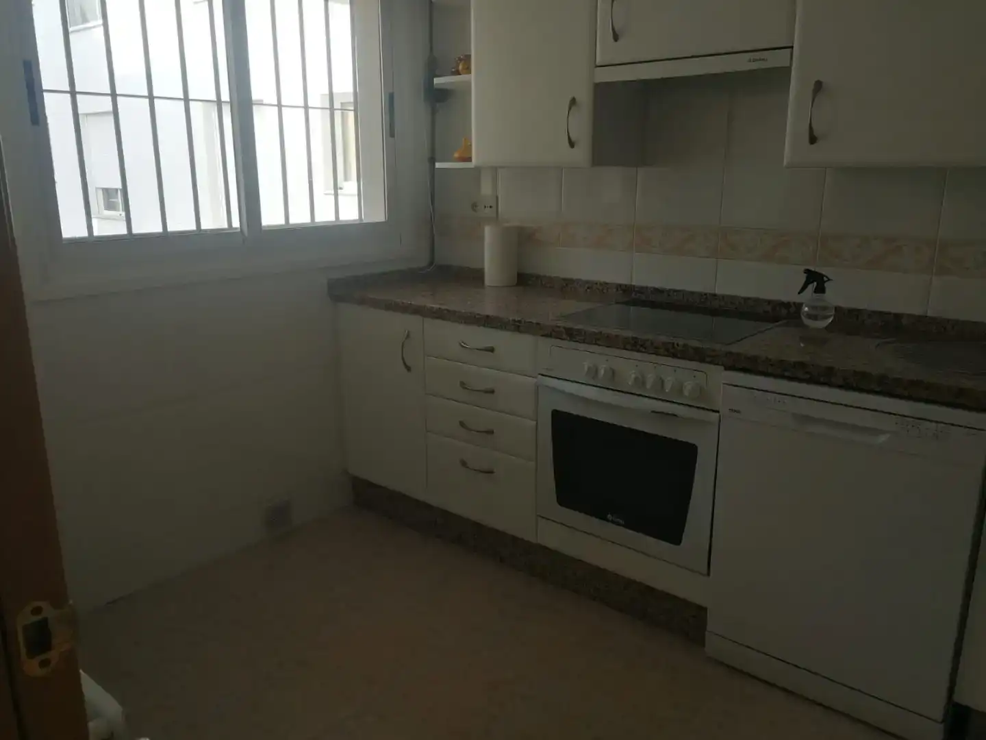 Kitchen of Flat for rent in San Pedro de Alcántara