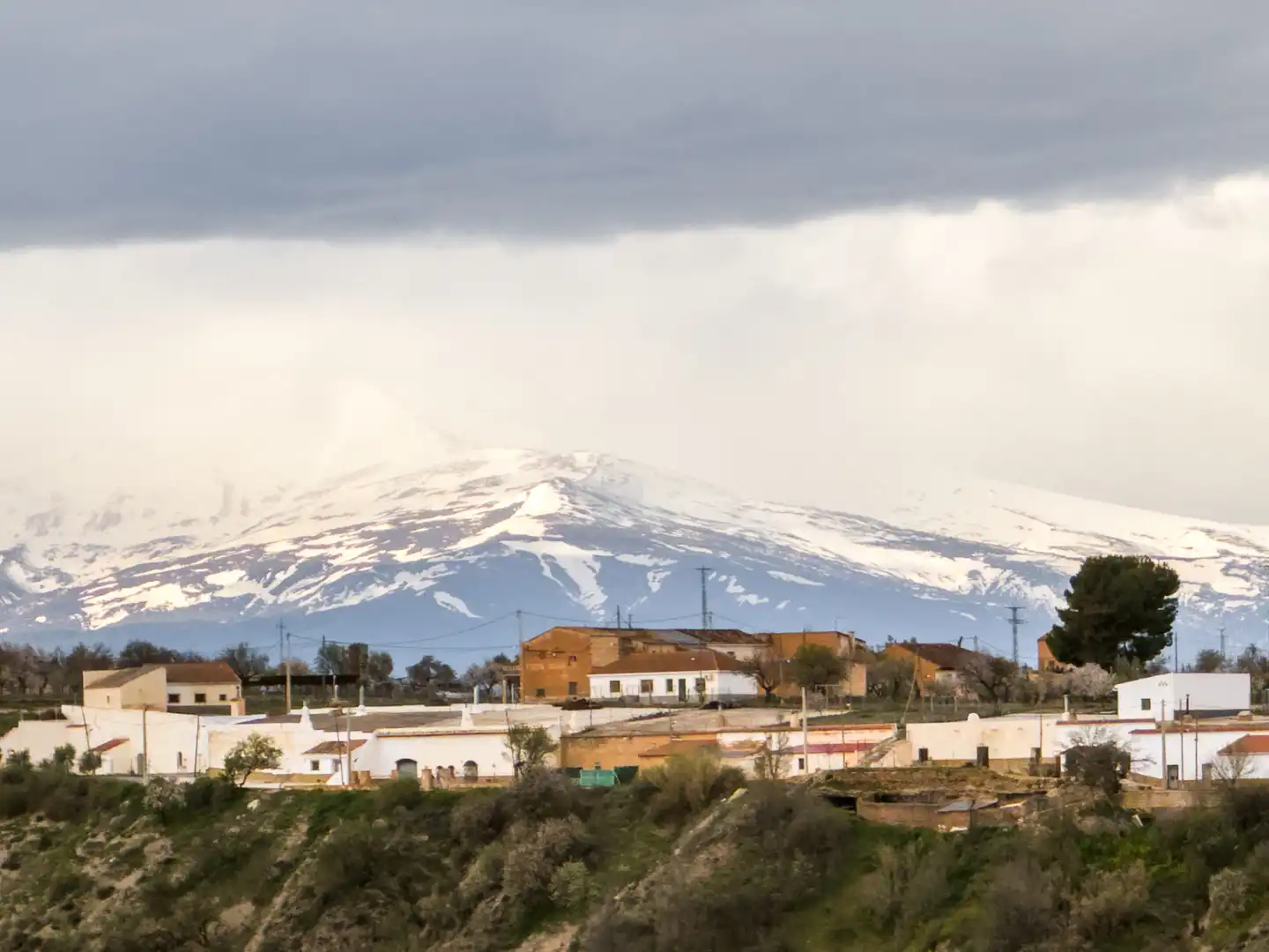 Vista exterior de Finca rústica en venta en Gor con Jardín privado, Terraza y Amueblado