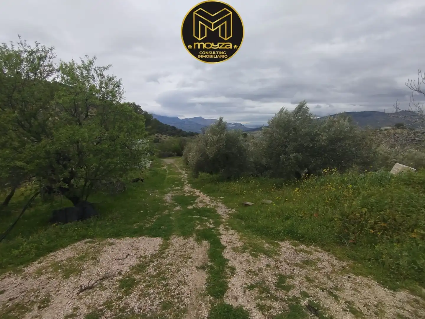 Casa rústica en venda a La Guardia de Jaén, imagen 7