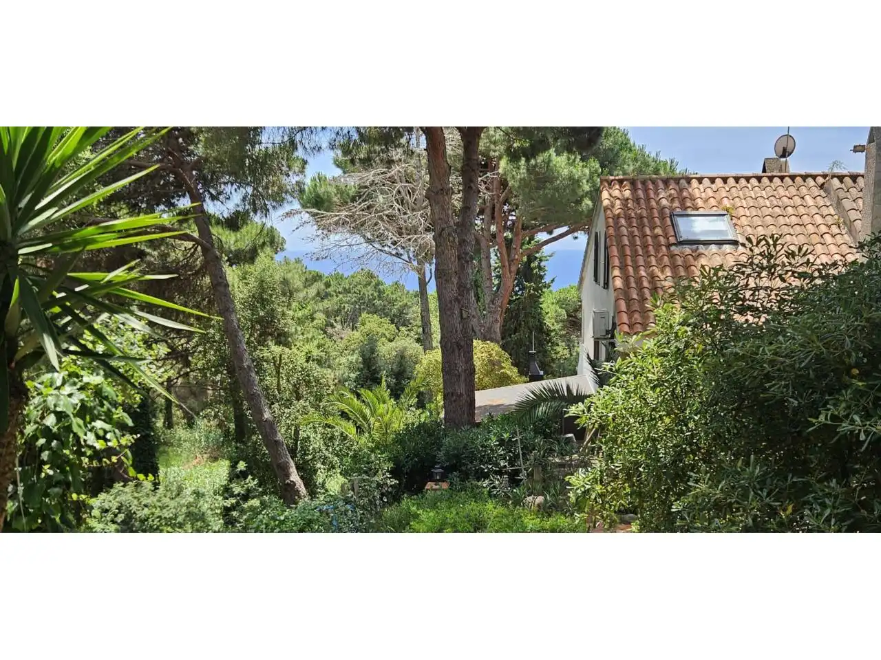 Garden of Detached homes for sale in Lloret de Mar  with Air Conditioner, Heating and Private garden