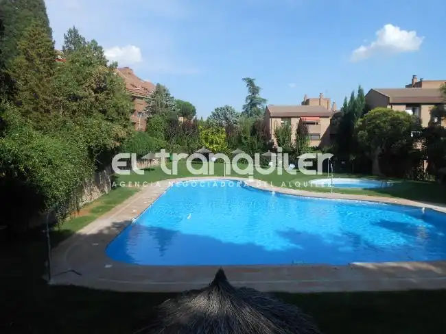 Wohnung mit Pool zur Miete in Avenida Paralela, imagen 19