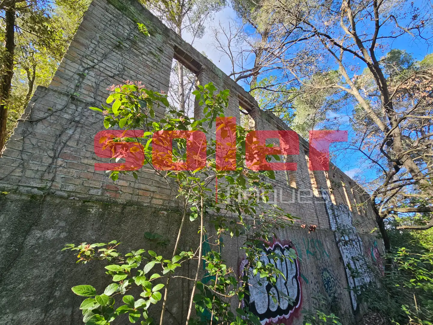Vista exterior de Finca rústica en venta en Barcelona