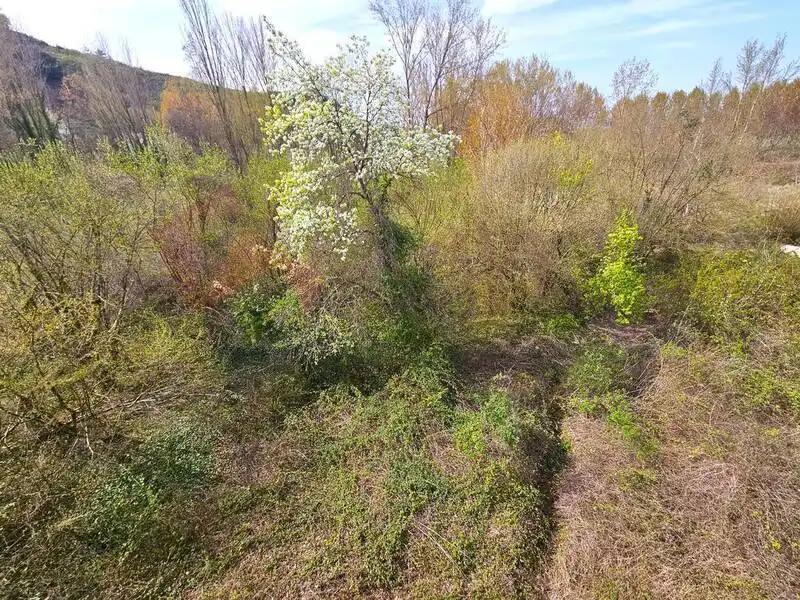 Casa o xalet en venda en Santa Coloma amb Jardí privat, Terrassa i Balcó