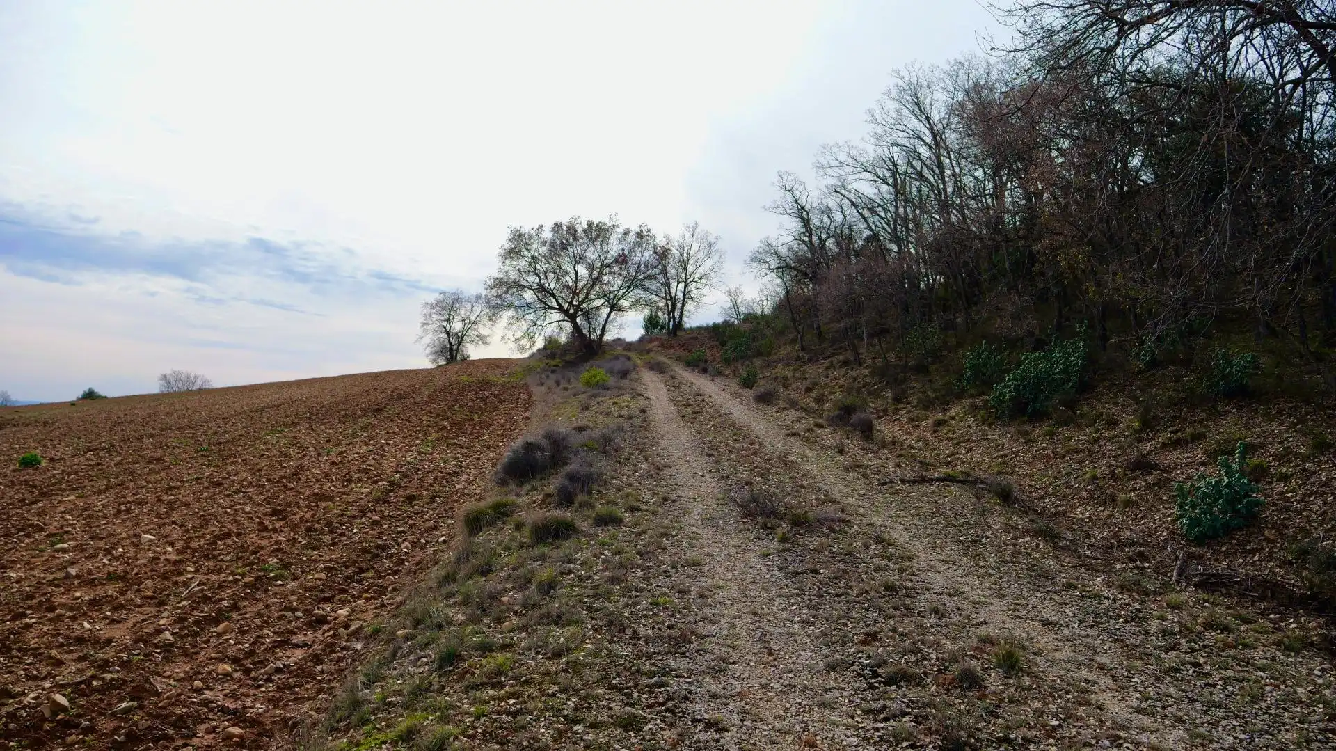Land for sale in Arbancón