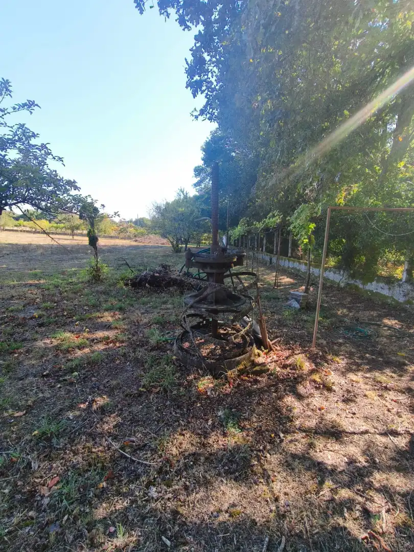 Chalet con terraza en venta en Coles, imagen 37