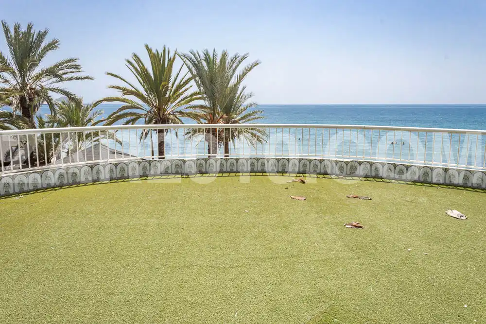 Garden of Buildings for sale in Pulpí