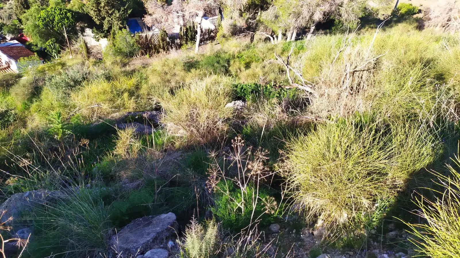 Terreni e lotti in vendita a Avenida de las Palmeras 66, imagen 6