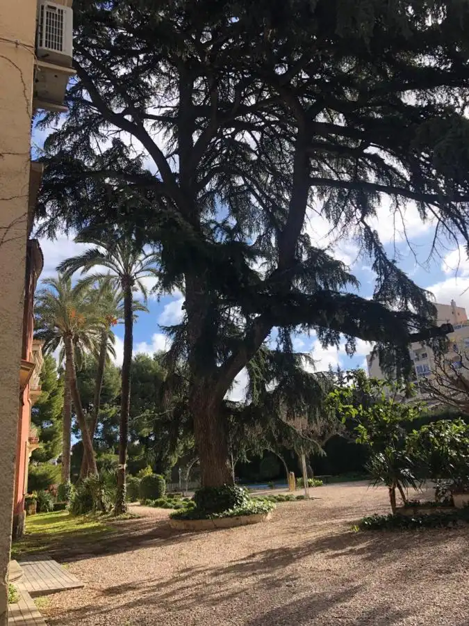 Garden of Houses for sale in Alcoy / Alcoi  with Heating, Private garden and Storage room
