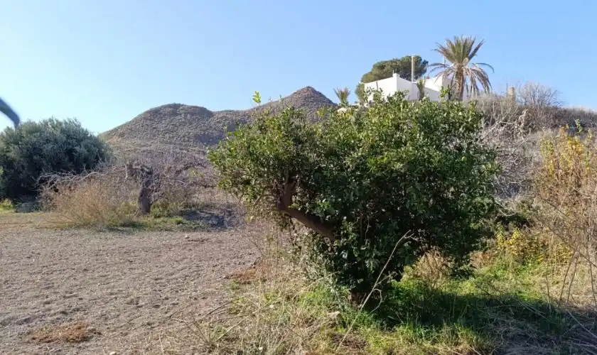 Villa mit Garten zum Verkauf in Carboneras, imagen 19