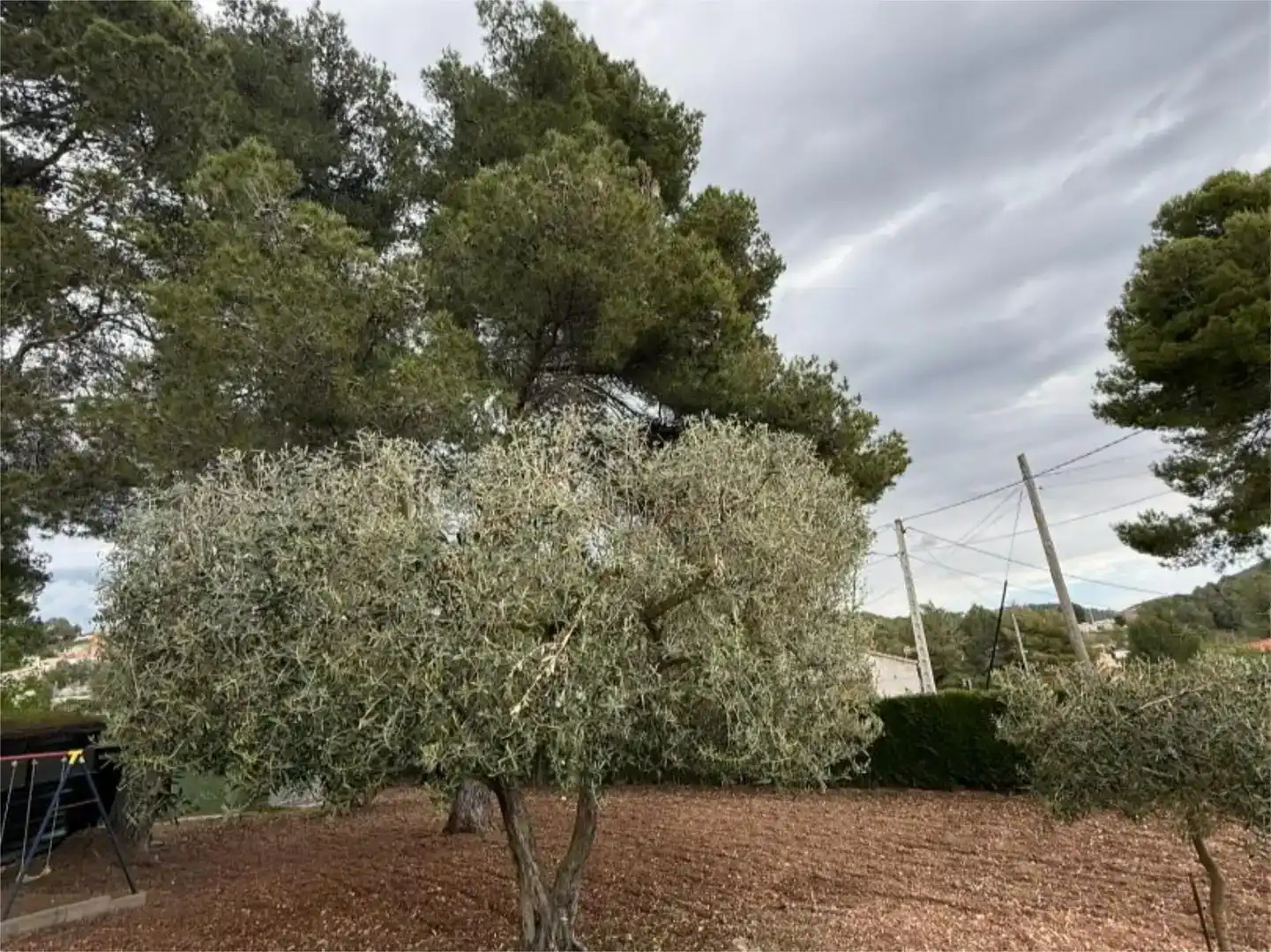 Jardí de Pis de lloguer en Aiguamúrcia amb Jardí privat, Traster i Piscina