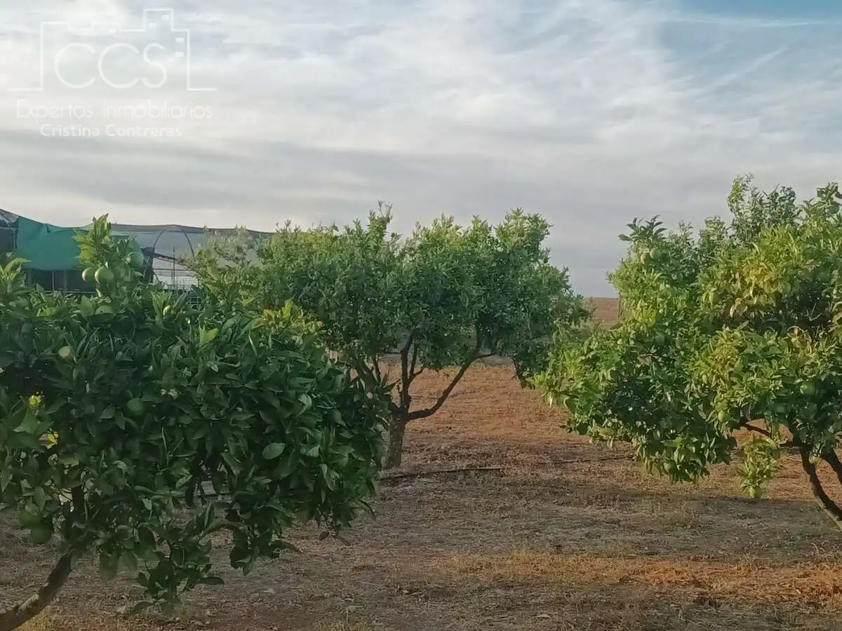Casa rústica amb jardí en venda a Bollullos Par del Condado, imagen 8