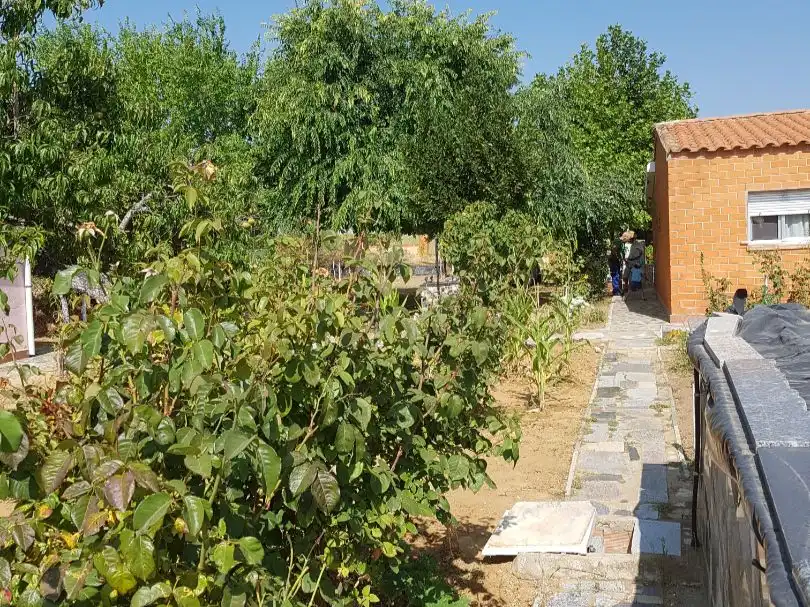 Terreno rustico in vendita a Prados del perdigón 412-5-A, imagen 5