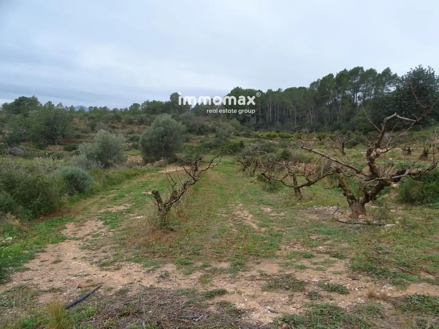 Residencial en venta en Benifallet