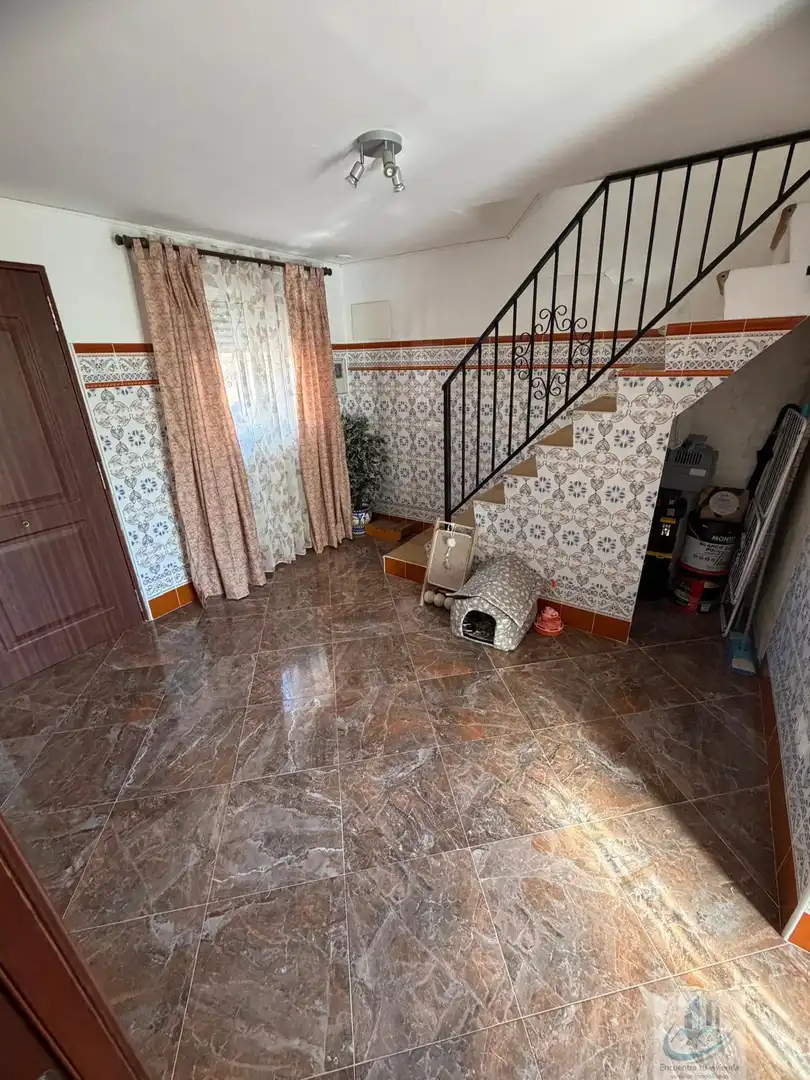 Casa o chalet en venta en San Fernando con Terraza