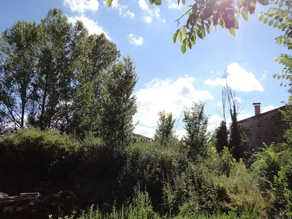 Casa o xalet en venda en Jaramillo Quemado amb Jardí privat