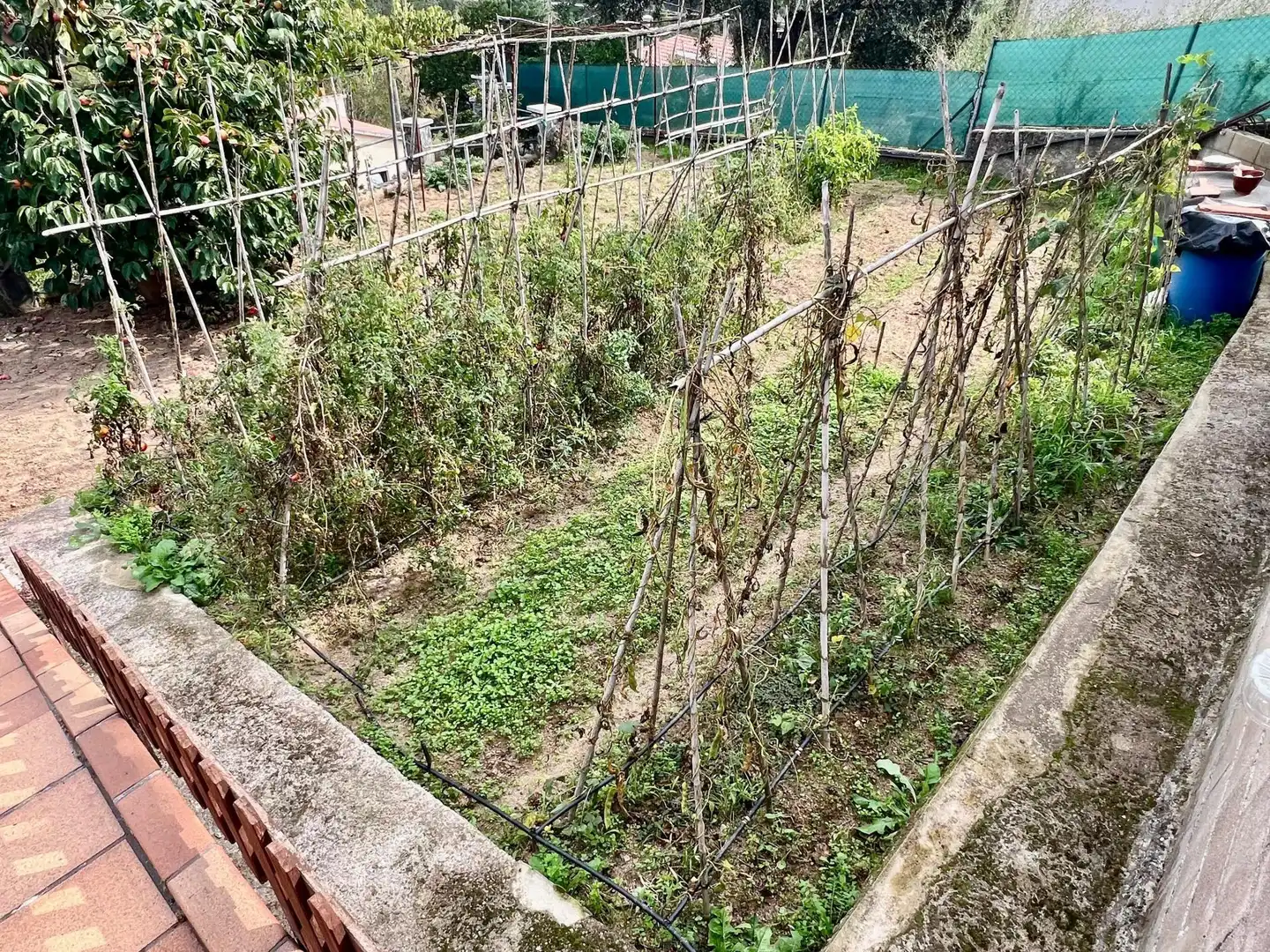 Casa o xalet en venda en Riudarenes amb Aire condicionat, Terrassa i Piscina