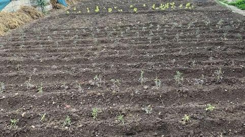 Foto 4 de Finca rústica en venta en Hurones, Burgos