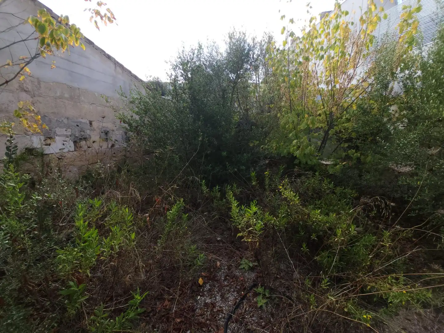 Grundstücke und Bauplätze zum Verkauf in Muro, imagen 2