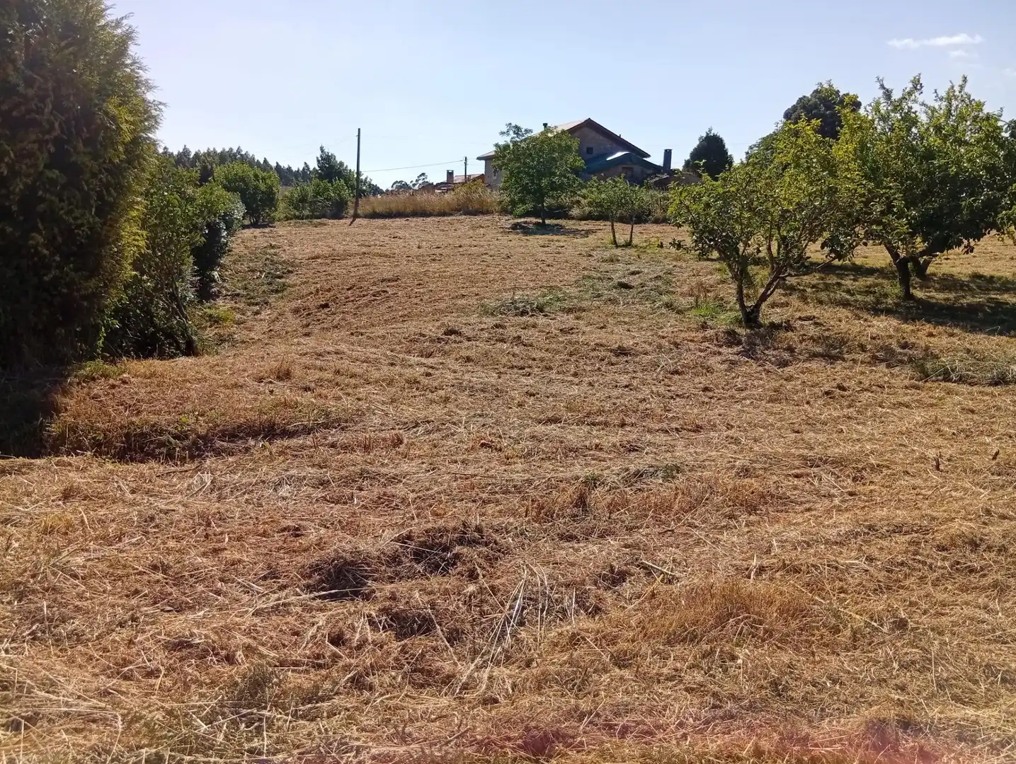Terreni e lotti in vendita a Lugar BARREIRAS, imagen 10