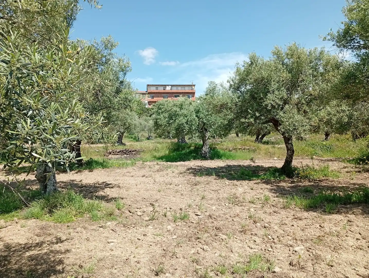 Terreni e lotti in vendita a Villanueva de la Vera, imagen 43