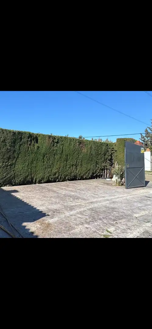 Jardí de Residencial en venda en Antequera
