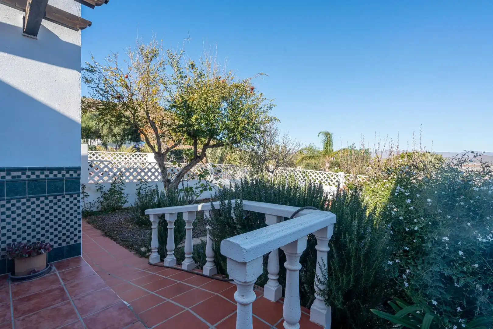 Jardín de Casa o chalet en venta en Níjar con Calefacción, Jardín privado y Terraza