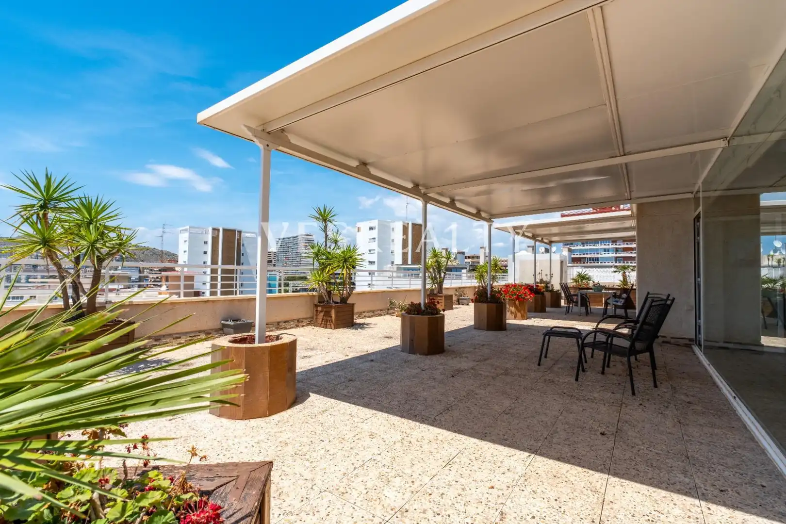 Terrassa de Àtic de lloguer en Alicante / Alacant amb Jardí privat, Terrassa i Balcó