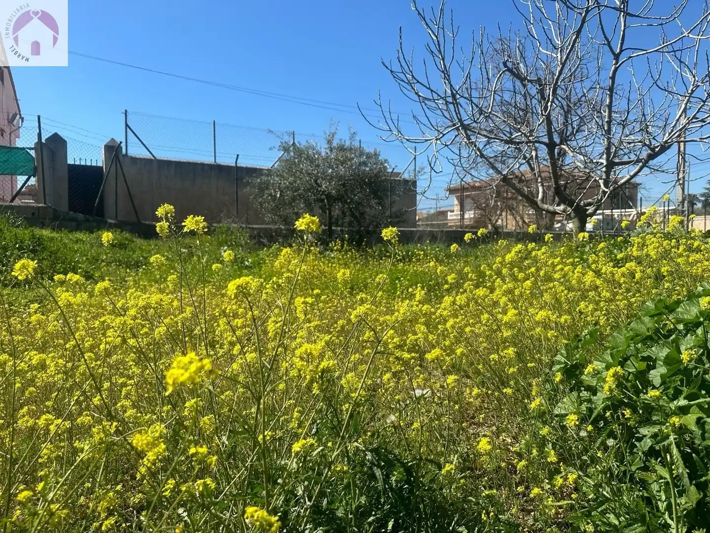 Lands and plots for sale in Calle VISTA NEVADA, imagen 10