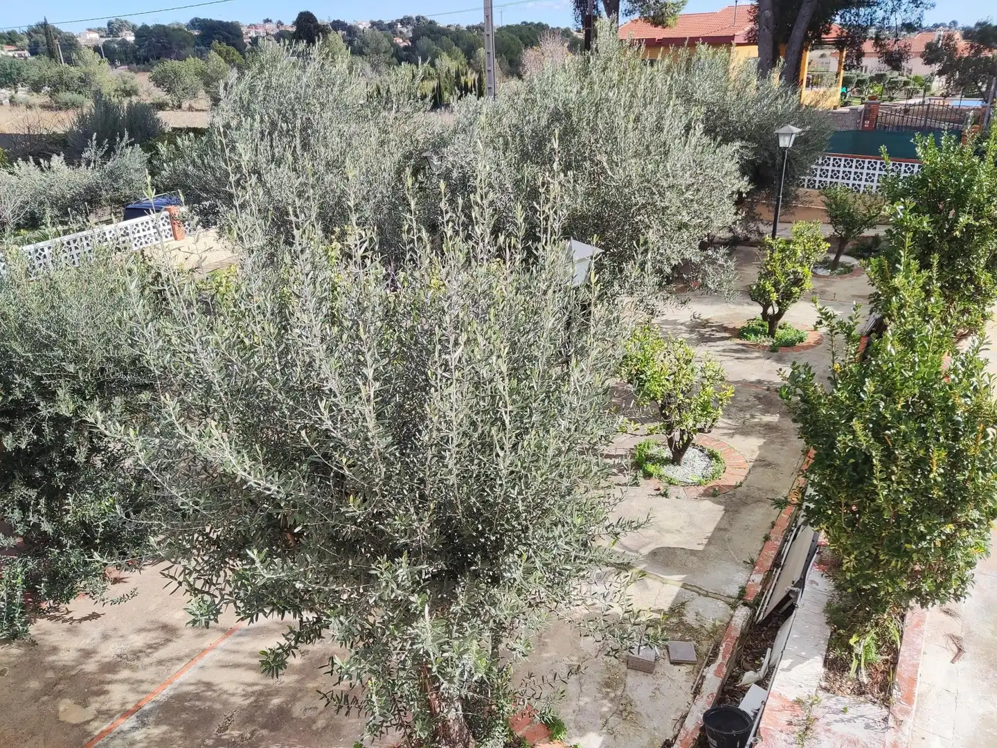 Garten von Country house zum Verkauf in Montserrat mit Heizung, Terrasse und Schwimmbad