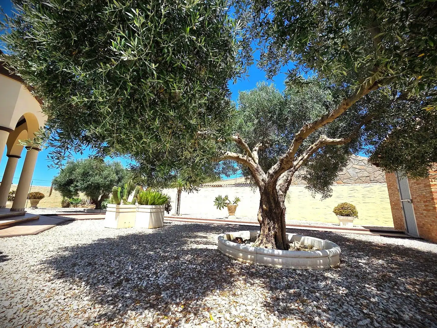 Jardí de Casa o xalet en venda en Chiclana de la Frontera amb Jardí privat