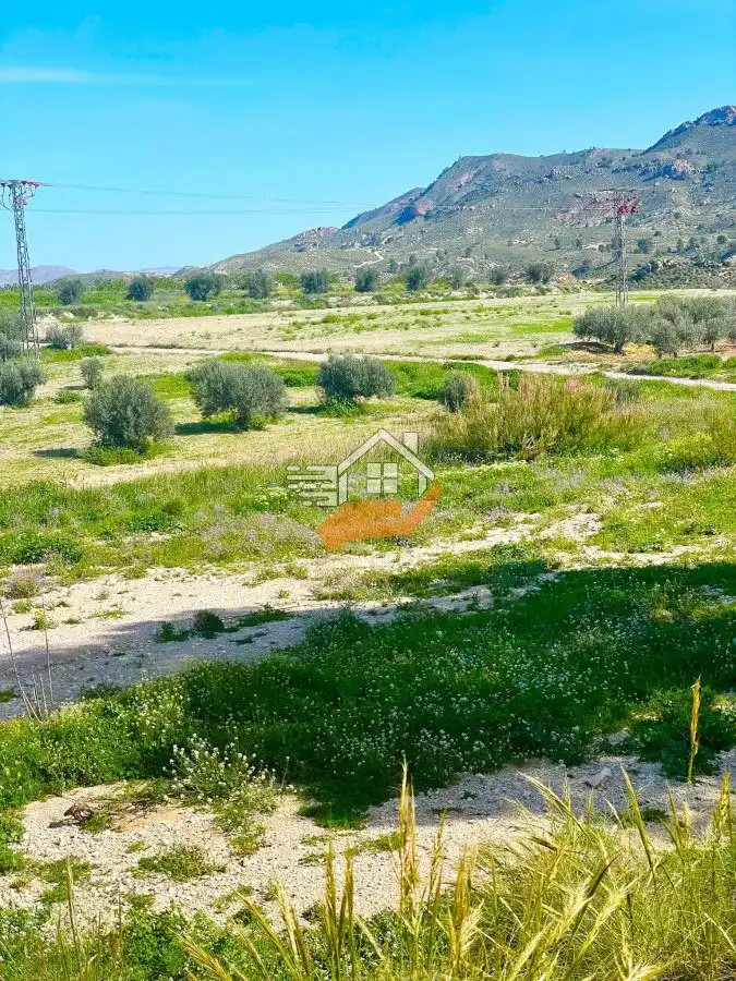 Lands and plots for sale in Pedanías Norte, imagen 9
