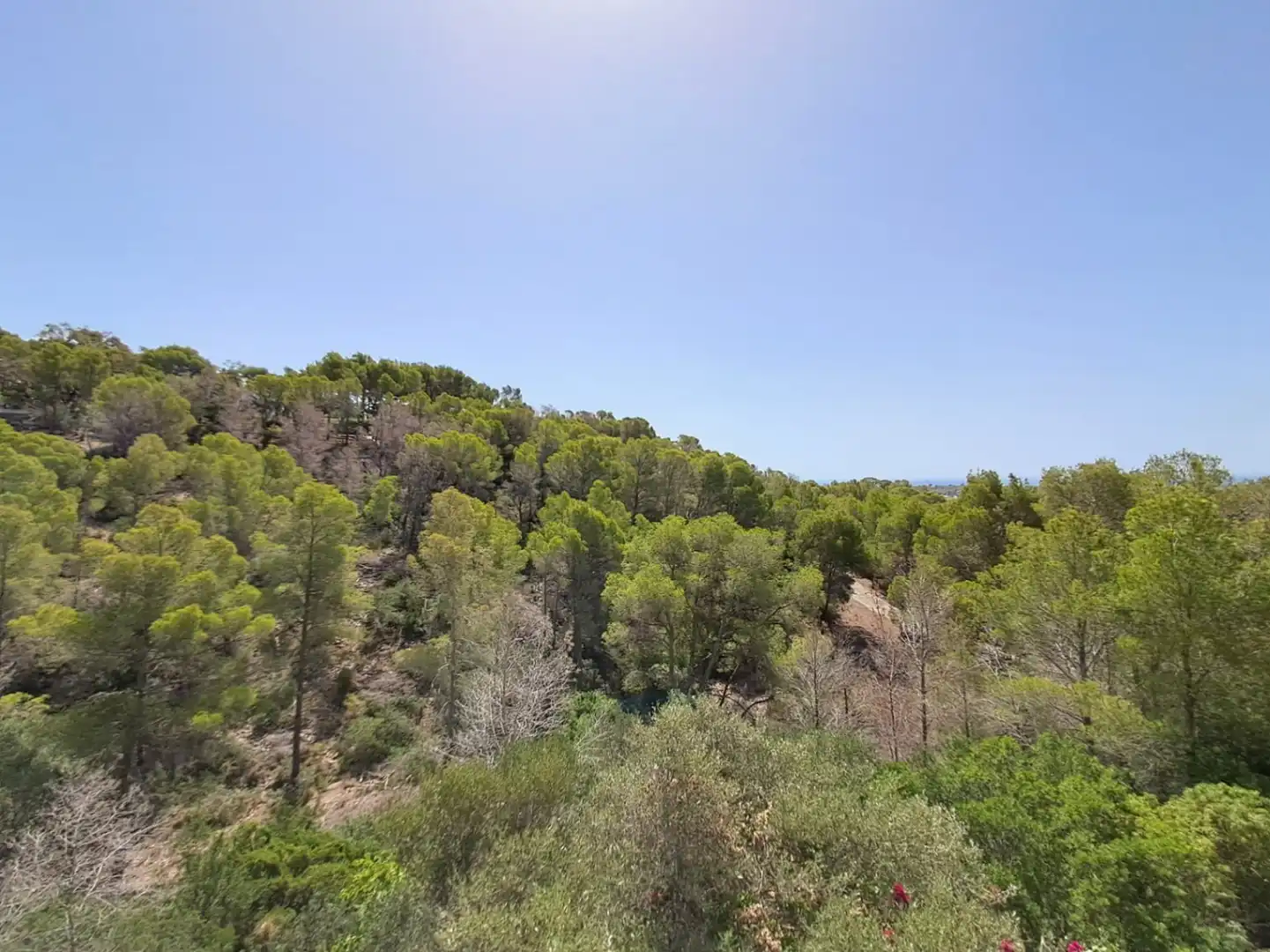 Casa o chalet de alquiler en Altea la Vella
