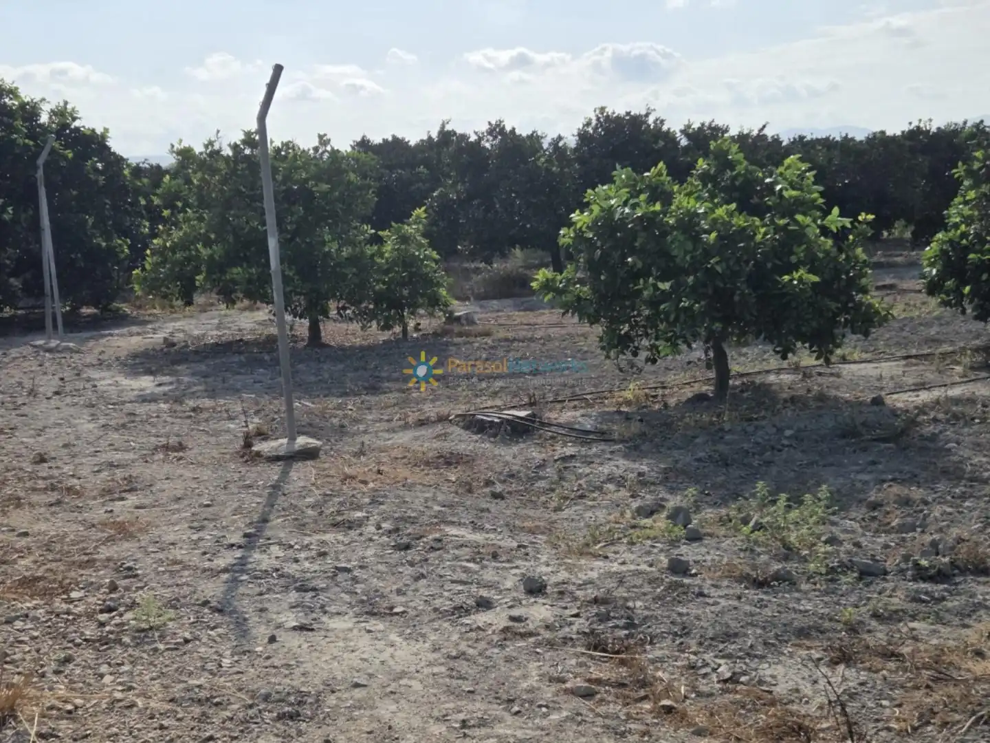 Finca rústica en venta en Senyera con Jardín privado y Terraza