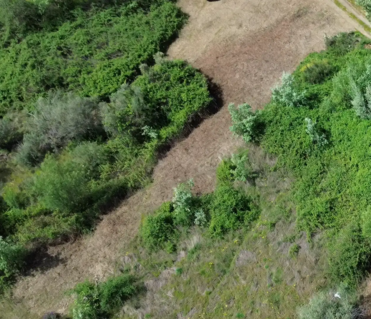 Terreni e lotti in vendita a Viandar de la Vera, imagen 10