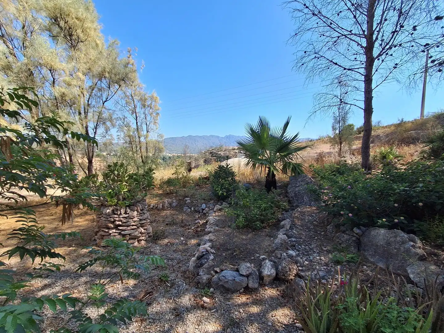 Houses for sale in Xerta