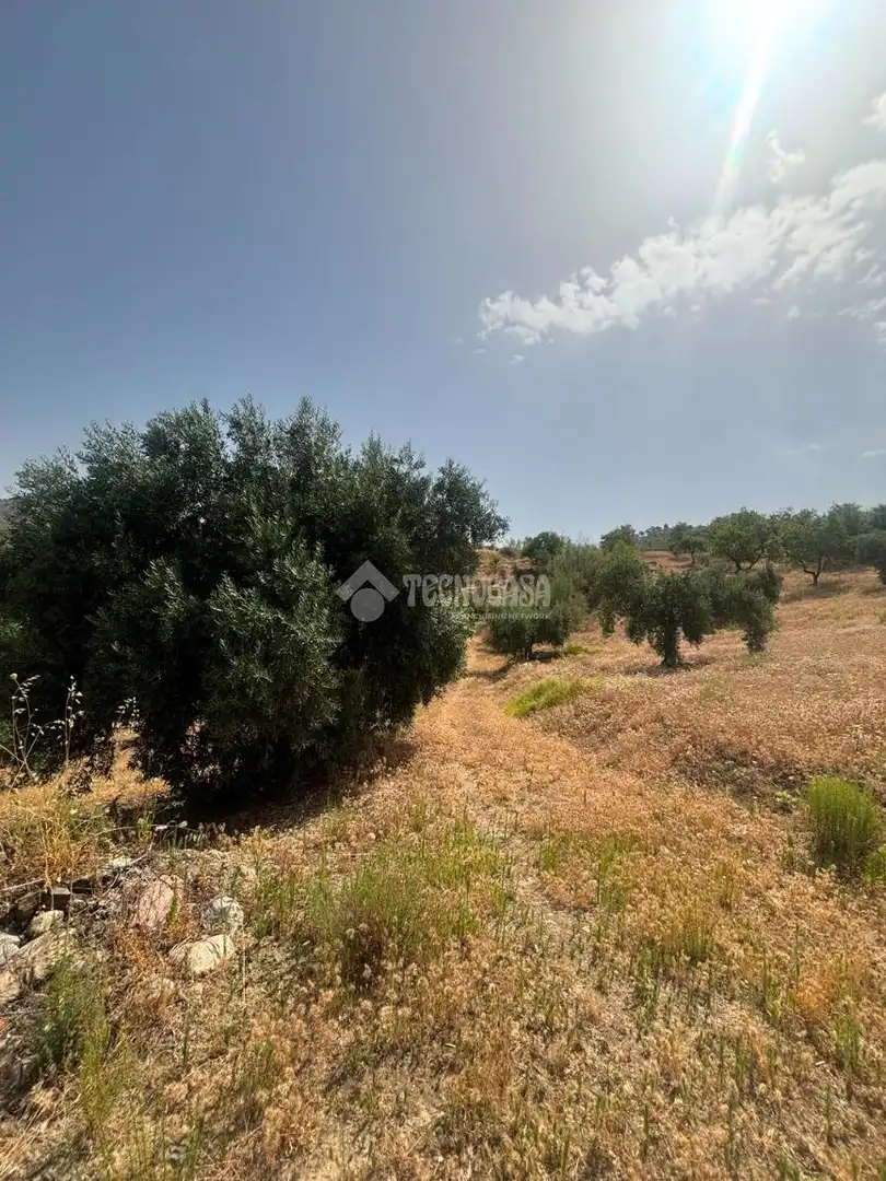 Land for sale in Quéntar